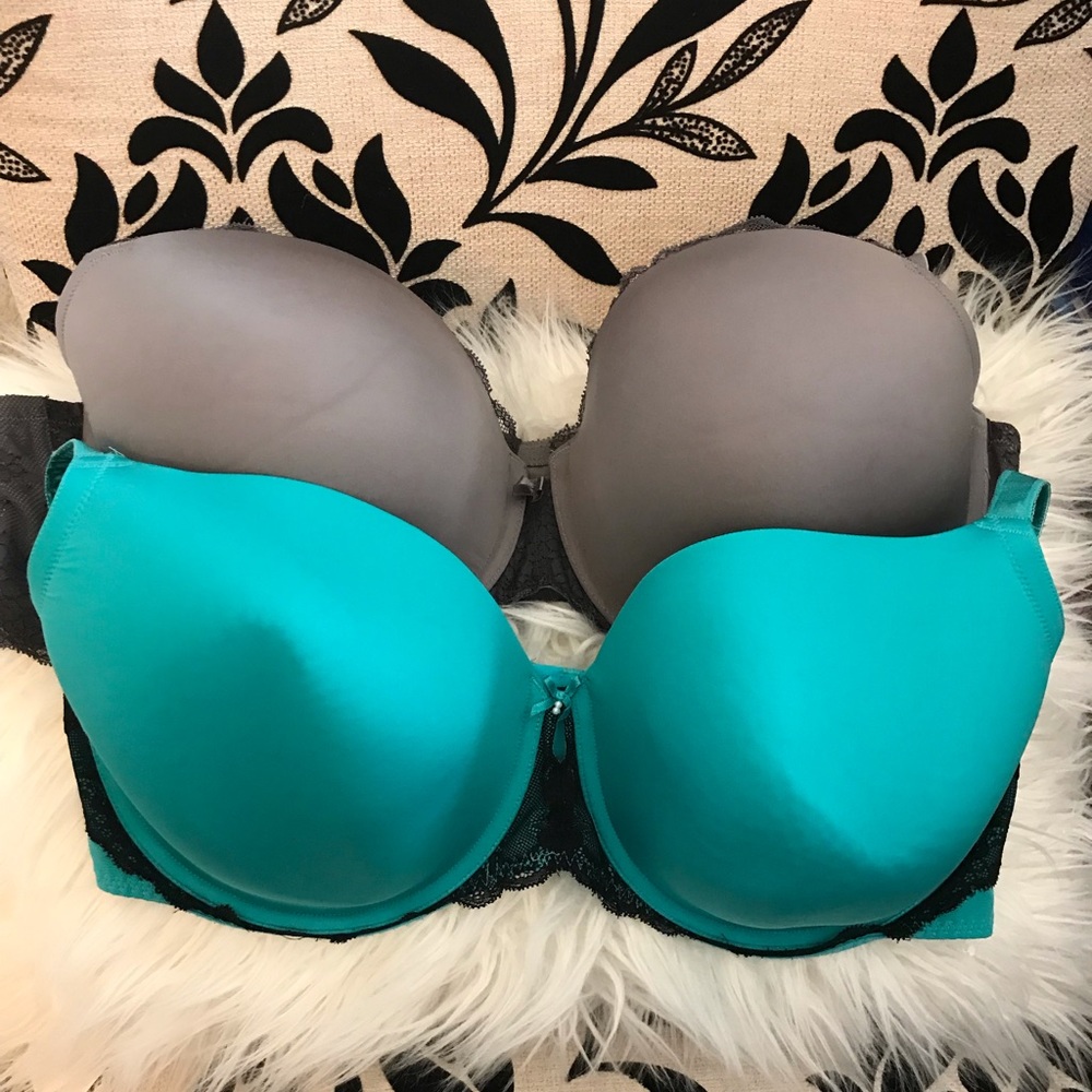 Torrid Bras